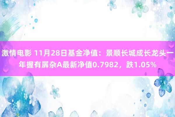 激情电影 11月28日基金净值：景顺长城成长龙头一年握有羼杂A最新净值0.7982，跌1.05%