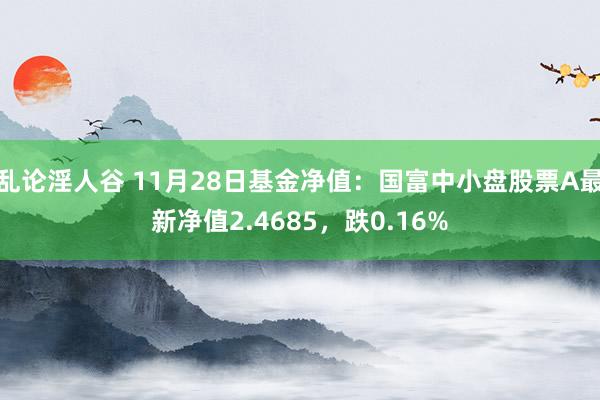 乱论淫人谷 11月28日基金净值：国富中小盘股票A最新净值2.4685，跌0.16%