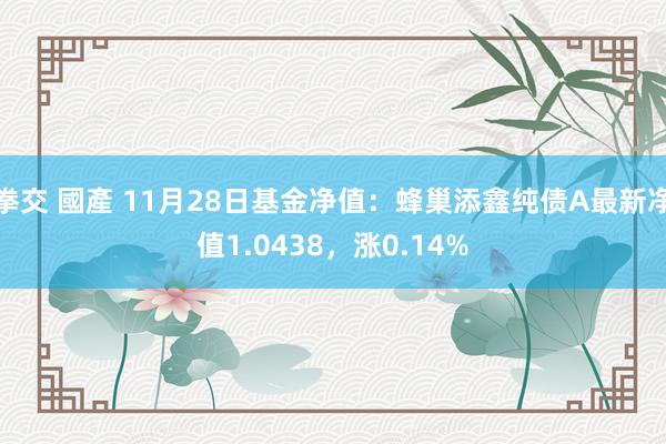 拳交 國產 11月28日基金净值：蜂巢添鑫纯债A最新净值1.0438，涨0.14%