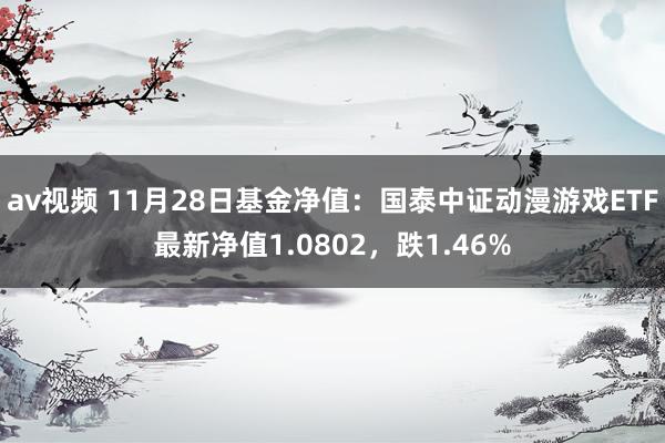 av视频 11月28日基金净值：国泰中证动漫游戏ETF最新净值1.0802，跌1.46%