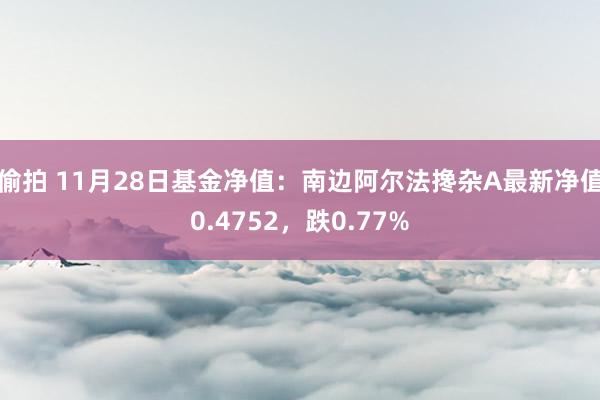 偷拍 11月28日基金净值：南边阿尔法搀杂A最新净值0.4752，跌0.77%