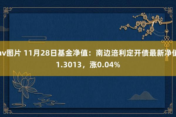 av图片 11月28日基金净值：南边涪利定开债最新净值1.3013，涨0.04%