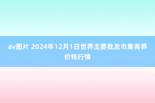 av图片 2024年12月1日世界主要批发市集青笋价钱行情