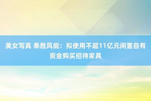 美女写真 泰胜风能：拟使用不超11亿元闲置自有资金购买招待家具