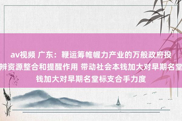 av视频 广东：鞭运筹帷幄力产业的万般政府投资基金积极判辨资源整合和提醒作用 带动社会本钱加大对早期名堂标支合手力度