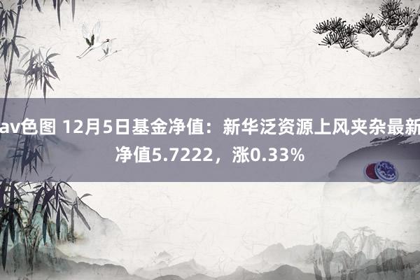 av色图 12月5日基金净值：新华泛资源上风夹杂最新净值5.7222，涨0.33%