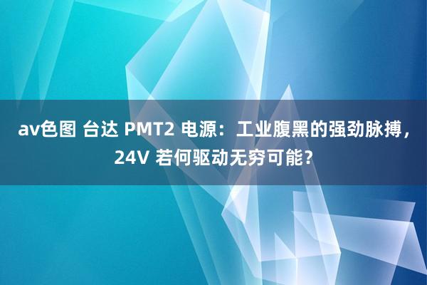 av色图 台达 PMT2 电源：工业腹黑的强劲脉搏，24V 若何驱动无穷可能？