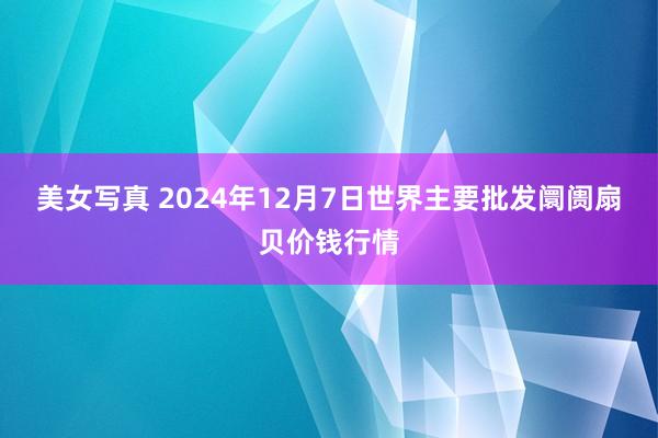 美女写真 2024年12月7日世界主要批发阛阓扇贝价钱行情