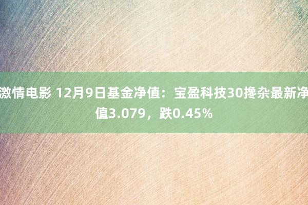 激情电影 12月9日基金净值：宝盈科技30搀杂最新净值3.079，跌0.45%