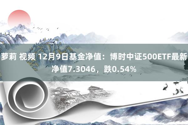 萝莉 视频 12月9日基金净值：博时中证500ETF最新净值7.3046，跌0.54%