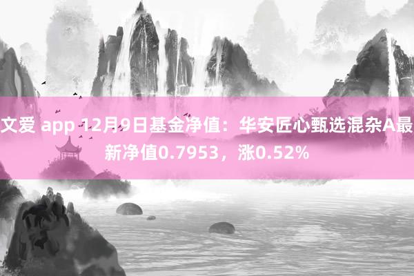 文爱 app 12月9日基金净值：华安匠心甄选混杂A最新净值0.7953，涨0.52%