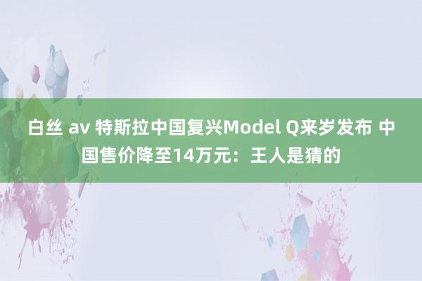 白丝 av 特斯拉中国复兴Model Q来岁发布 中国售价降至14万元：王人是猜的