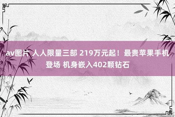 av图片 人人限量三部 219万元起！最贵苹果手机登场 机身嵌入402颗钻石