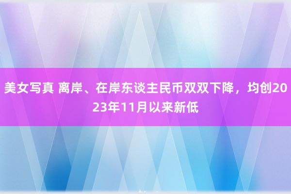 美女写真 离岸、在岸东谈主民币双双下降，均创2023年11月以来新低