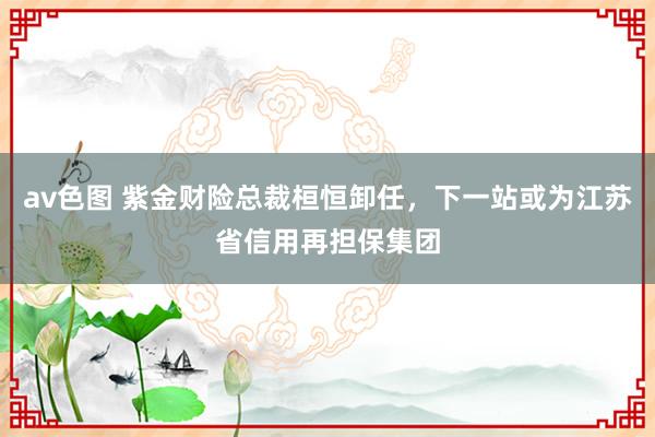 av色图 紫金财险总裁桓恒卸任，下一站或为江苏省信用再担保集团