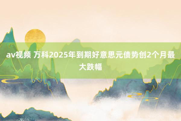 av视频 万科2025年到期好意思元债势创2个月最大跌幅