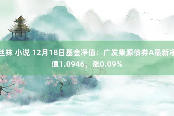 丝袜 小说 12月18日基金净值：广发集源债券A最新净值1.0946，涨0.09%