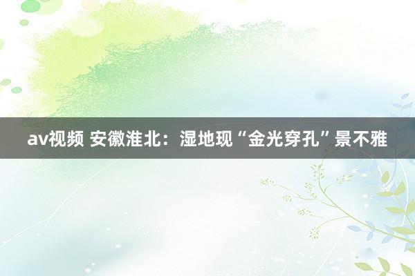 av视频 安徽淮北：湿地现“金光穿孔”景不雅