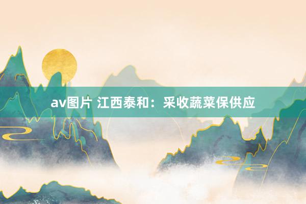 av图片 江西泰和：采收蔬菜保供应