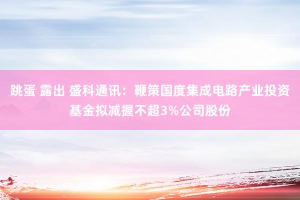 跳蛋 露出 盛科通讯：鞭策国度集成电路产业投资基金拟减握不超3%公司股份