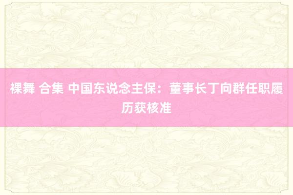 裸舞 合集 中国东说念主保：董事长丁向群任职履历获核准