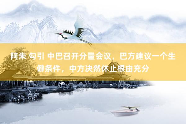 阿朱 勾引 中巴召开分量会议，巴方建议一个生僻条件，中方决然休止根由充分