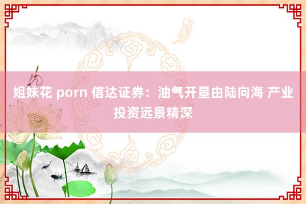 姐妹花 porn 信达证券：油气开垦由陆向海 产业投资远景精深