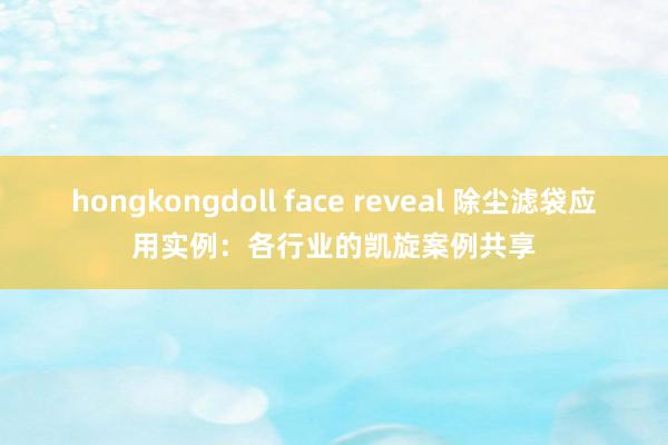 hongkongdoll face reveal 除尘滤袋应用实例：各行业的凯旋案例共享