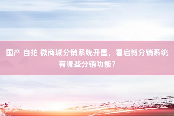 国产 自拍 微商城分销系统开垦，看启博分销系统有哪些分销功能？