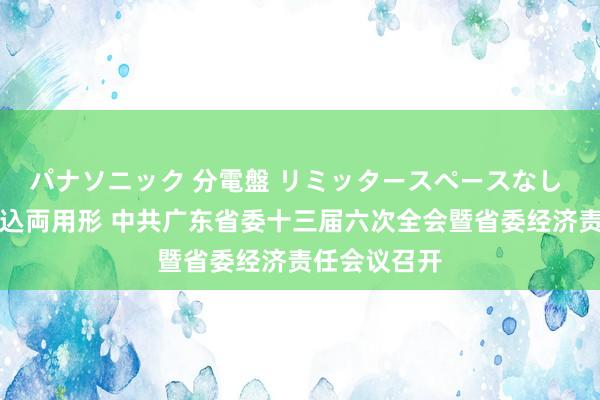 パナソニック 分電盤 リミッタースペースなし 露出・半埋込両用形 中共广东省委十三届六次全会暨省委经济责任会议召开