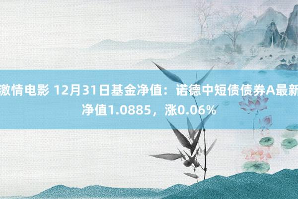 激情电影 12月31日基金净值：诺德中短债债券A最新净值1.0885，涨0.06%