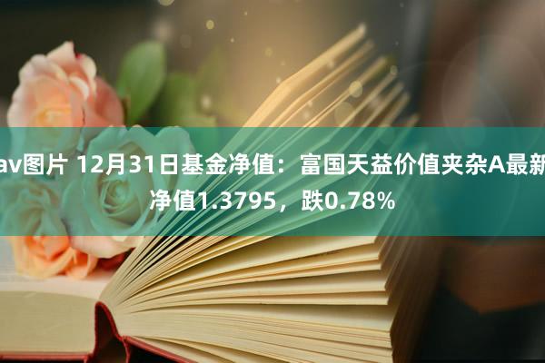 av图片 12月31日基金净值：富国天益价值夹杂A最新净值1.3795，跌0.78%