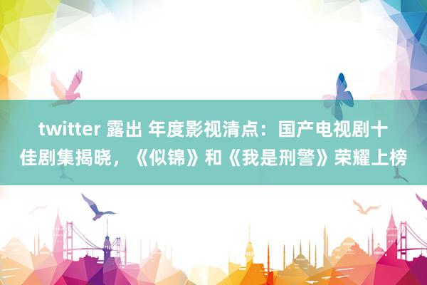 twitter 露出 年度影视清点：国产电视剧十佳剧集揭晓，《似锦》和《我是刑警》荣耀上榜