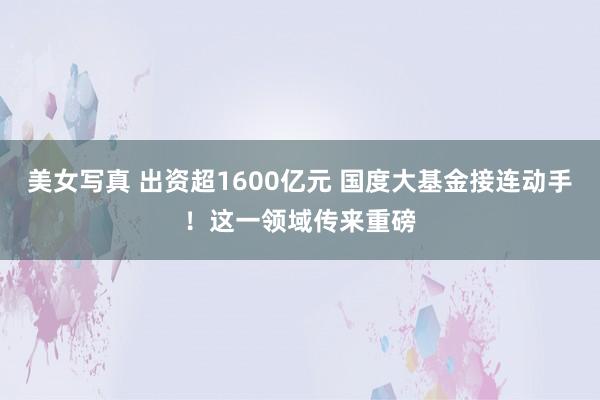 美女写真 出资超1600亿元 国度大基金接连动手！这一领域传来重磅