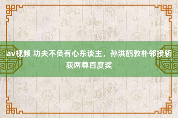 av视频 功夫不负有心东谈主，孙洪鹤敦朴邻接斩获两尊百度奖