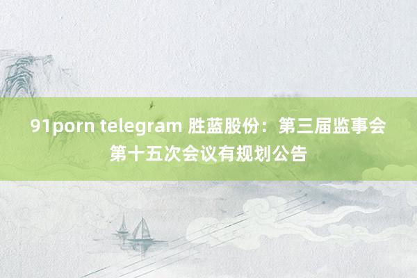 91porn telegram 胜蓝股份：第三届监事会第十五次会议有规划公告