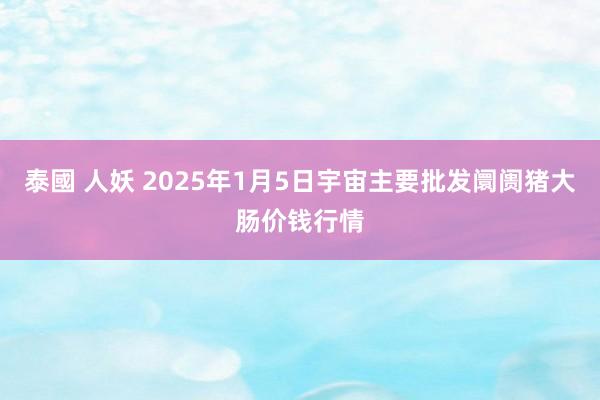 泰國 人妖 2025年1月5日宇宙主要批发阛阓猪大肠价钱行情