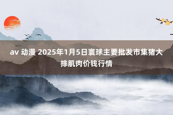 av 动漫 2025年1月5日寰球主要批发市集猪大排肌肉价钱行情