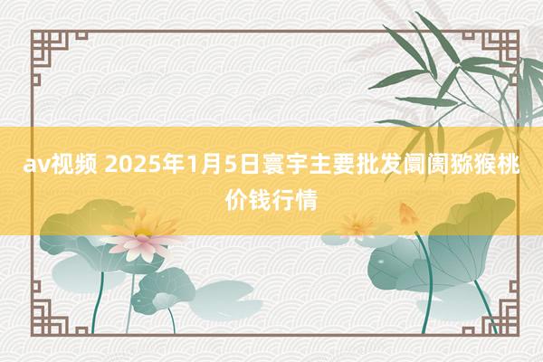 av视频 2025年1月5日寰宇主要批发阛阓猕猴桃价钱行情