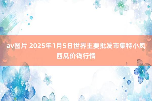 av图片 2025年1月5日世界主要批发市集特小凤西瓜价钱行情