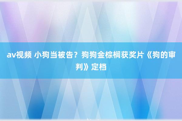 av视频 小狗当被告？狗狗金棕榈获奖片《狗的审判》定档