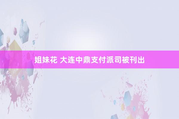 姐妹花 大连中鼎支付派司被刊出