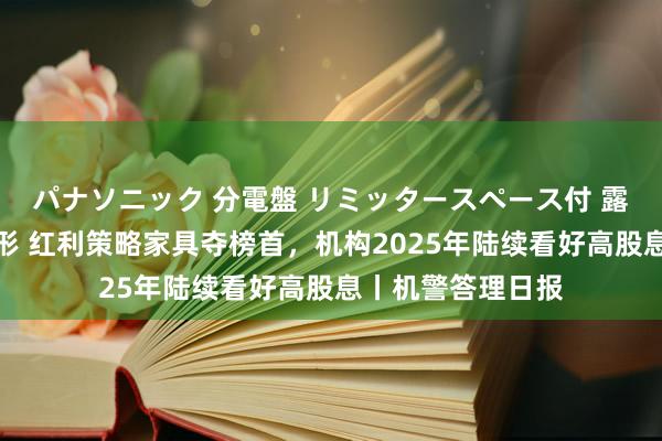 パナソニック 分電盤 リミッタースペース付 露出・半埋込両用形 红利策略家具夺榜首，机构2025年陆续看好高股息丨机警答理日报