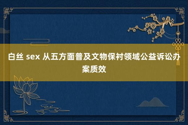 白丝 sex 从五方面普及文物保衬领域公益诉讼办案质效