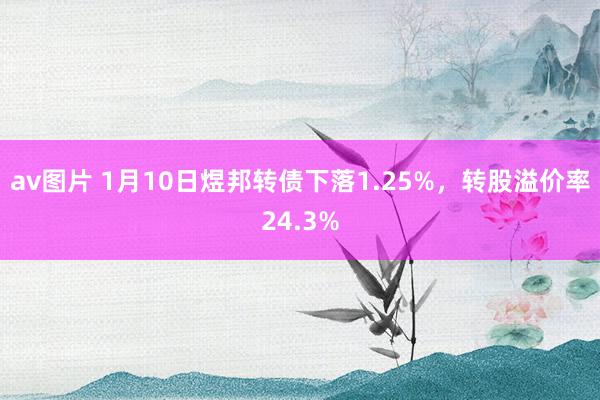 av图片 1月10日煜邦转债下落1.25%，转股溢价率24.3%